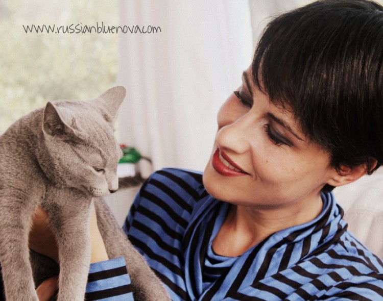 p2-me-and-cat-russian-blue-nova-azul-ruso-gato-gris-cattery-cat-kitten-gatito01